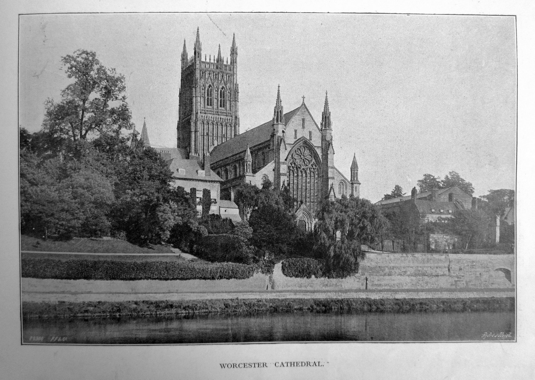 Worcester
